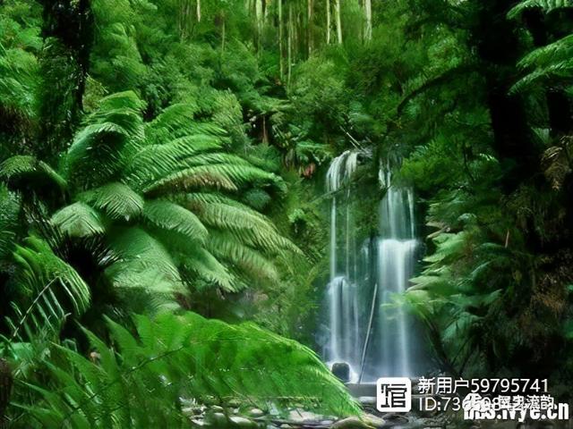 北流紫罗兰翡翠手镯价格,紫罗兰手镯价格-第25张图片-翡翠网 北流紫罗兰翡翠手镯价格,紫罗兰手镯价格-第25张图片-翡翠网