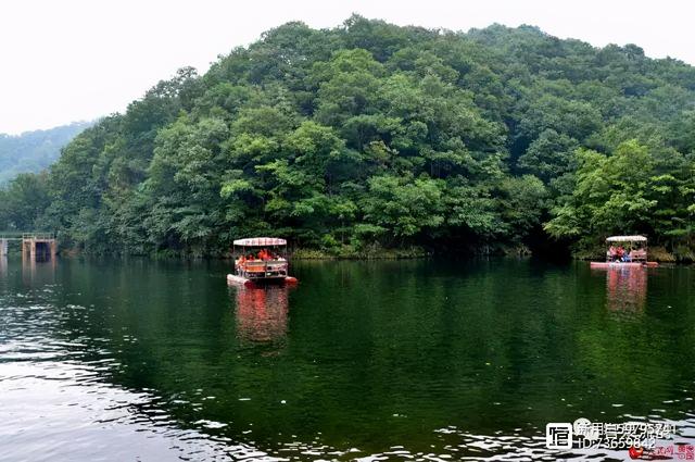 北流紫罗兰翡翠手镯价格,紫罗兰手镯价格-第26张图片-翡翠网 北流紫罗兰翡翠手镯价格,紫罗兰手镯价格-第26张图片-翡翠网