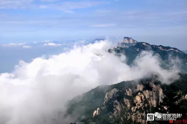 北流紫罗兰翡翠手镯价格,紫罗兰手镯价格-第27张图片-翡翠网 北流紫罗兰翡翠手镯价格,紫罗兰手镯价格-第27张图片-翡翠网