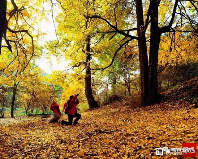 北流紫罗兰翡翠手镯价格,紫罗兰手镯价格-第29张图片-翡翠网 北流紫罗兰翡翠手镯价格,紫罗兰手镯价格-第29张图片-翡翠网