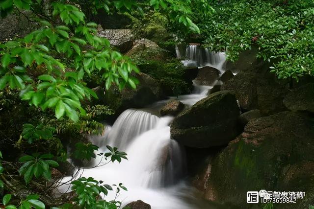 北流紫罗兰翡翠手镯价格,紫罗兰手镯价格-第31张图片-翡翠网 北流紫罗兰翡翠手镯价格,紫罗兰手镯价格-第31张图片-翡翠网