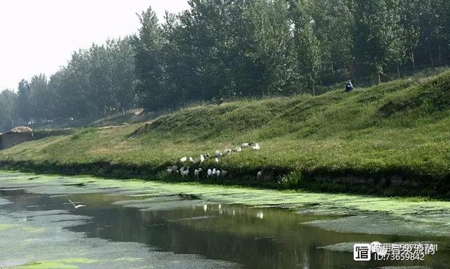 北流紫罗兰翡翠手镯价格,紫罗兰手镯价格-第36张图片-翡翠网 北流紫罗兰翡翠手镯价格,紫罗兰手镯价格-第36张图片-翡翠网