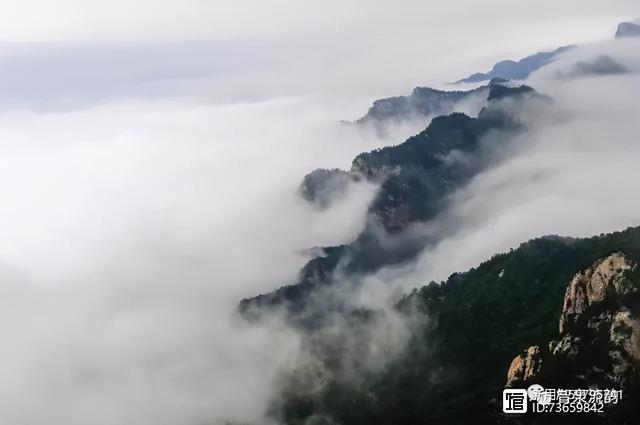 北流紫罗兰翡翠手镯价格,紫罗兰手镯价格-第38张图片-翡翠网 北流紫罗兰翡翠手镯价格,紫罗兰手镯价格-第38张图片-翡翠网