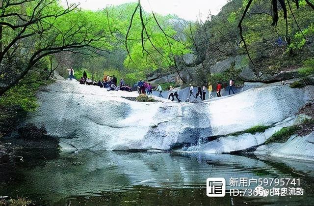 北流紫罗兰翡翠手镯价格,紫罗兰手镯价格-第39张图片-翡翠网 北流紫罗兰翡翠手镯价格,紫罗兰手镯价格-第39张图片-翡翠网