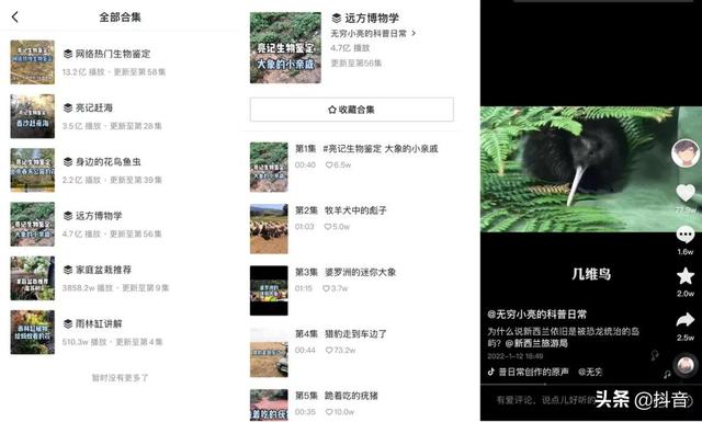 草莓无限破解版永久下载,抖音国际版很黄的id-第8张图片-翡翠网 草莓无限破解版永久下载,抖音国际版很黄的id-第8张图片-翡翠网