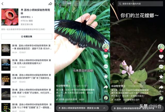 草莓无限破解版永久下载,抖音国际版很黄的id-第9张图片-翡翠网 草莓无限破解版永久下载,抖音国际版很黄的id-第9张图片-翡翠网