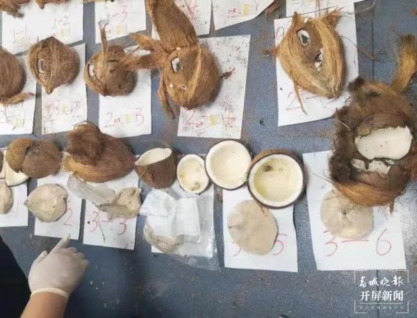 云南临沧翡翠原石批发的简单介绍-第2张图片-翡翠网 云南临沧翡翠原石批发的简单介绍-第2张图片-翡翠网