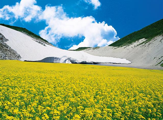 甘青翡翠价格查询清代老翡翠扳指真品图片-第11张图片-翡翠网 甘青翡翠价格查询清代老翡翠扳指真品图片-第11张图片-翡翠网