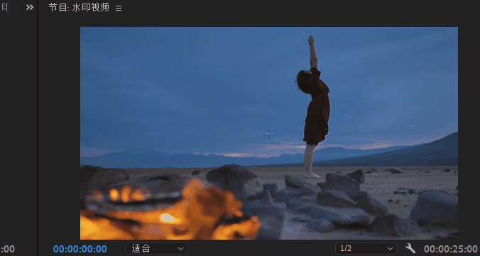 抖音下载去掉水印捷径抖音下载去掉水印-第4张图片-翡翠网 抖音下载去掉水印捷径抖音下载去掉水印-第4张图片-翡翠网