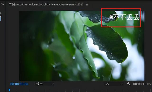 抖音下载去掉水印捷径抖音下载去掉水印-第5张图片-翡翠网 抖音下载去掉水印捷径抖音下载去掉水印-第5张图片-翡翠网