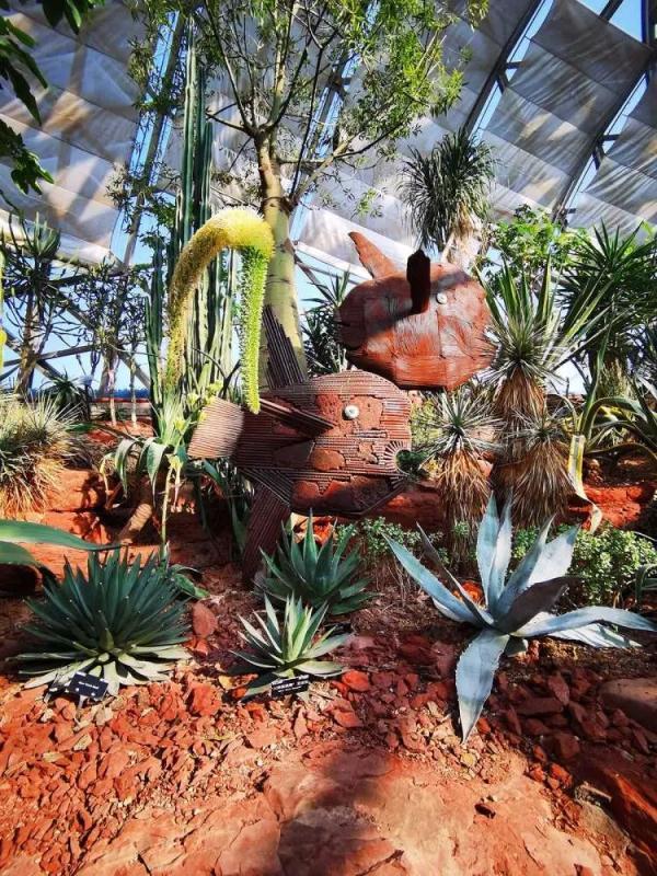 云南翡翠馆的价格合理,云南名医馆收费怎么样-第1张图片-翡翠网 云南翡翠馆的价格合理,云南名医馆收费怎么样-第1张图片-翡翠网