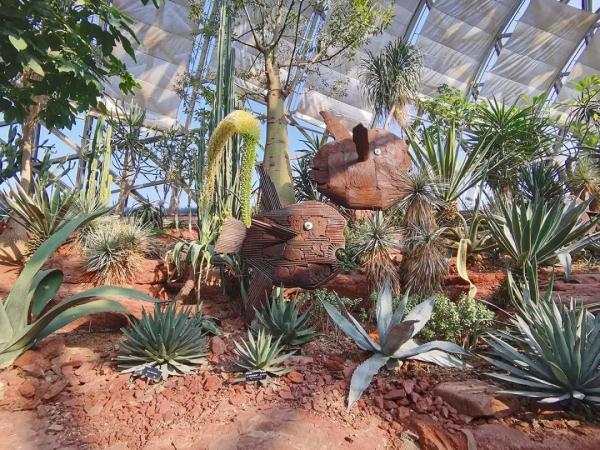 云南翡翠馆的价格合理,云南名医馆收费怎么样-第2张图片-翡翠网 云南翡翠馆的价格合理,云南名医馆收费怎么样-第2张图片-翡翠网