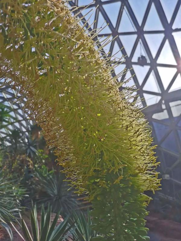 云南翡翠馆的价格合理,云南名医馆收费怎么样-第3张图片-翡翠网 云南翡翠馆的价格合理,云南名医馆收费怎么样-第3张图片-翡翠网