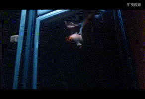 翡翠的基本专业知识,关于翡翠最实用的知识阿贵老师-第12张图片-翡翠网 翡翠的基本专业知识,关于翡翠最实用的知识阿贵老师-第12张图片-翡翠网