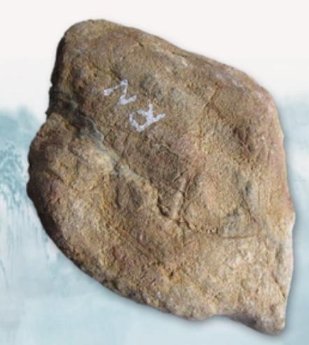 如何判断翡翠原石种质,挑选翡翠原石-第6张图片-翡翠网 如何判断翡翠原石种质,挑选翡翠原石-第6张图片-翡翠网