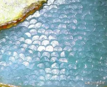 关于翡翠开窗好还是原石好的信息-第5张图片-翡翠网 关于翡翠开窗好还是原石好的信息-第5张图片-翡翠网