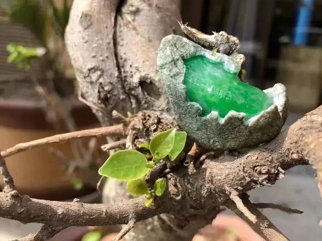 干枯翡翠原石,翡翠原石的价位-第4张图片-翡翠网 干枯翡翠原石,翡翠原石的价位-第4张图片-翡翠网