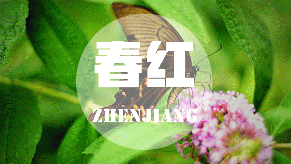 50分钻戒多少钱镇江婚戒价格-第7张图片-翡翠网 50分钻戒多少钱镇江婚戒价格-第7张图片-翡翠网