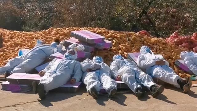 翡翠木那原石枯癣翡翠枯绝价格表-第1张图片-翡翠网 翡翠木那原石枯癣翡翠枯绝价格表-第1张图片-翡翠网