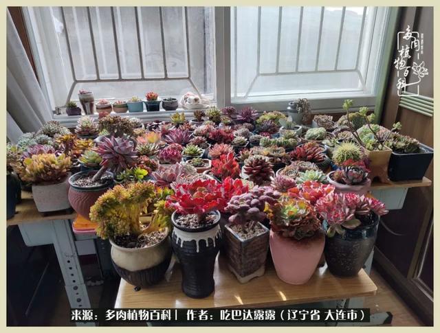 翡翠木那原石枯癣翡翠枯绝价格表-第4张图片-翡翠网 翡翠木那原石枯癣翡翠枯绝价格表-第4张图片-翡翠网