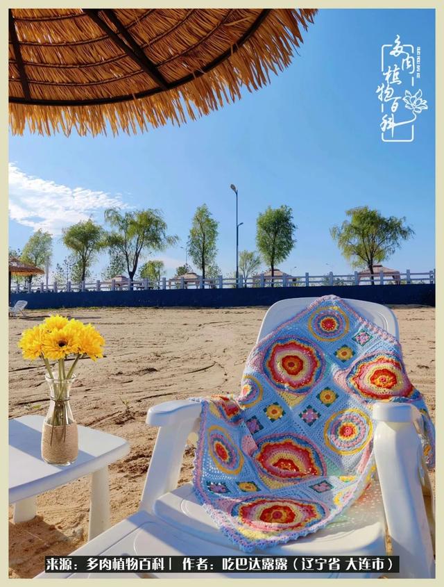 翡翠木那原石枯癣翡翠枯绝价格表-第75张图片-翡翠网 翡翠木那原石枯癣翡翠枯绝价格表-第75张图片-翡翠网