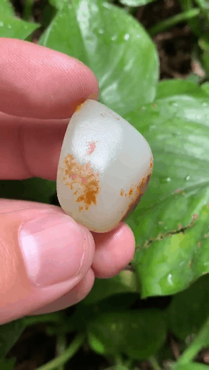 关于原石翡翠手串图片的信息-第7张图片-翡翠网 关于原石翡翠手串图片的信息-第7张图片-翡翠网