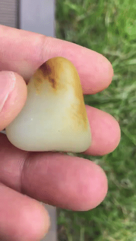 关于原石翡翠手串图片的信息-第11张图片-翡翠网 关于原石翡翠手串图片的信息-第11张图片-翡翠网