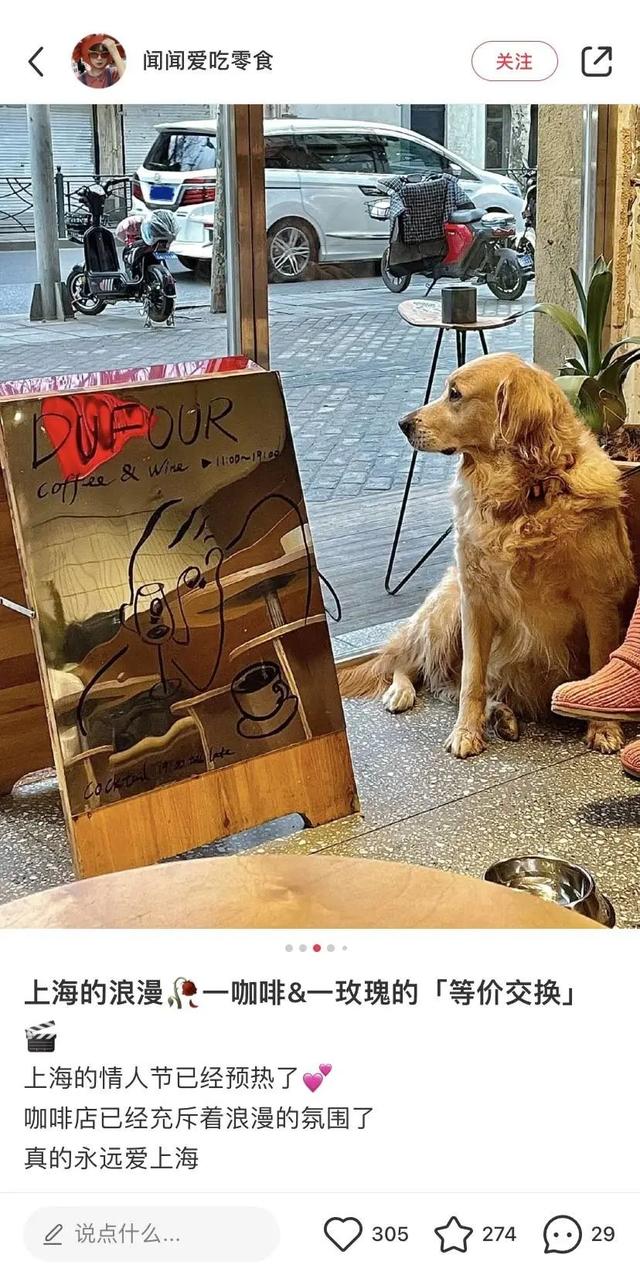 抖音黄v认证的条件是什么抖音怎么知道谁看过我-第2张图片-翡翠网 抖音黄v认证的条件是什么抖音怎么知道谁看过我-第2张图片-翡翠网