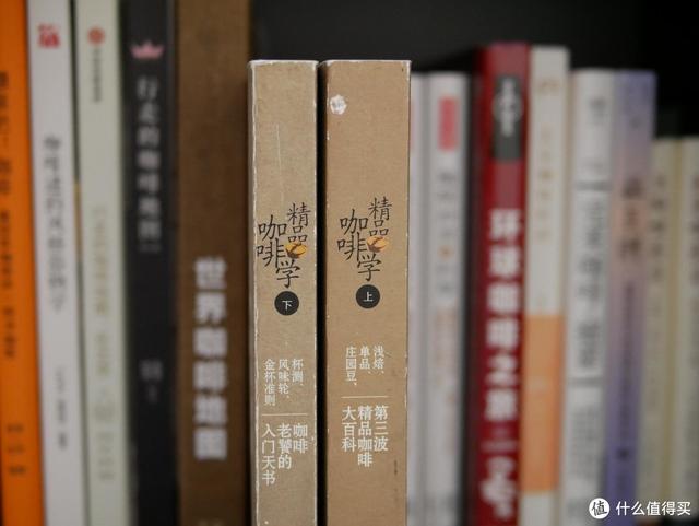 红龙鱼苗价格,翡翠红龙鱼价格-第2张图片-翡翠网 红龙鱼苗价格,翡翠红龙鱼价格-第2张图片-翡翠网