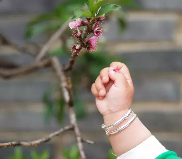 三种属相不能戴金2022年属猴大忌-第5张图片-翡翠网 三种属相不能戴金2022年属猴大忌-第5张图片-翡翠网