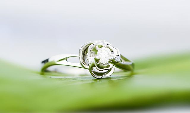 白金戒指价格,白银戒指价格-第1张图片-翡翠网 白金戒指价格,白银戒指价格-第1张图片-翡翠网