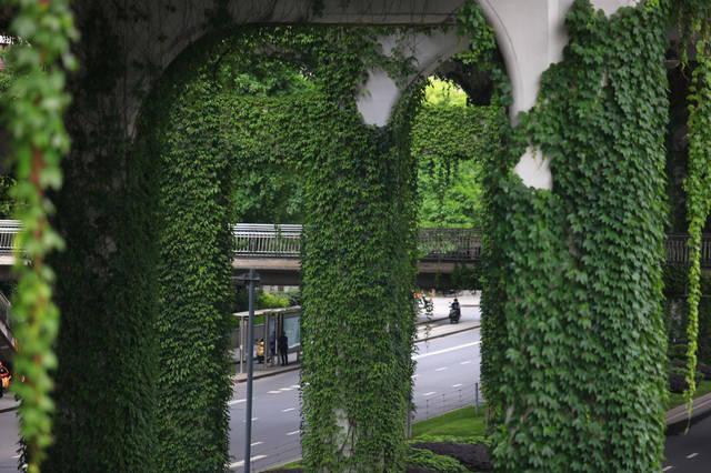 陈瑞麟珠宝设计师,rotass珠宝设计-第1张图片-翡翠网 陈瑞麟珠宝设计师,rotass珠宝设计-第1张图片-翡翠网