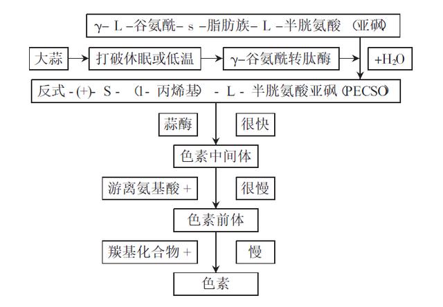 毒品的特征和由来,翡翠知识翡翠特征和翡翠的由来-第7张图片-翡翠网 毒品的特征和由来,翡翠知识翡翠特征和翡翠的由来-第7张图片-翡翠网