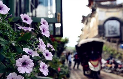 德翠尚源翡翠价格的简单介绍-第2张图片-翡翠网 德翠尚源翡翠价格的简单介绍-第2张图片-翡翠网