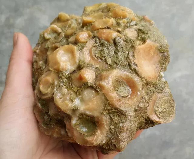 包含商南翡翠原石毛料的词条-第6张图片-翡翠网 包含商南翡翠原石毛料的词条-第6张图片-翡翠网