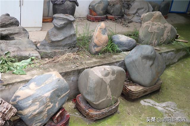 丹江口市白皮翡翠原石毛料,翡翠的原石在哪里-第27张图片-翡翠网 丹江口市白皮翡翠原石毛料,翡翠的原石在哪里-第27张图片-翡翠网