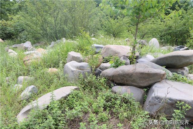 丹江口市白皮翡翠原石毛料,翡翠的原石在哪里-第32张图片-翡翠网 丹江口市白皮翡翠原石毛料,翡翠的原石在哪里-第32张图片-翡翠网