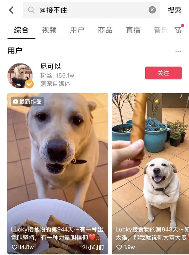 狗子与我是真的吗,狗子与我抖音6分钟视频-第6张图片-翡翠网 狗子与我是真的吗,狗子与我抖音6分钟视频-第6张图片-翡翠网