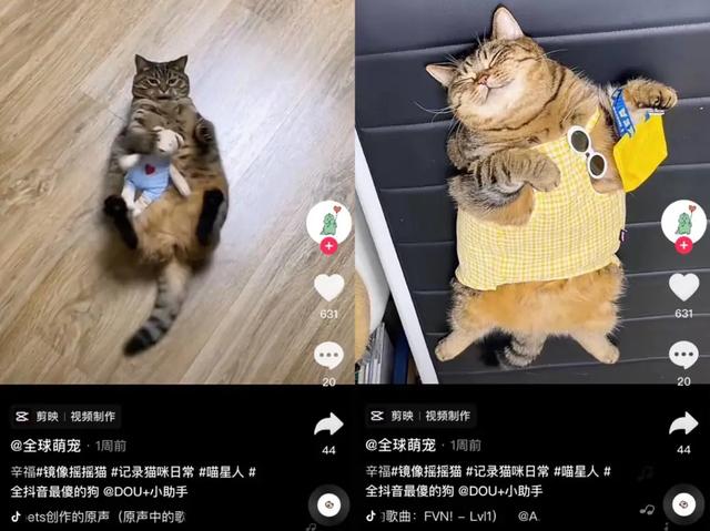 狗子与我是真的吗,狗子与我抖音6分钟视频-第17张图片-翡翠网 狗子与我是真的吗,狗子与我抖音6分钟视频-第17张图片-翡翠网