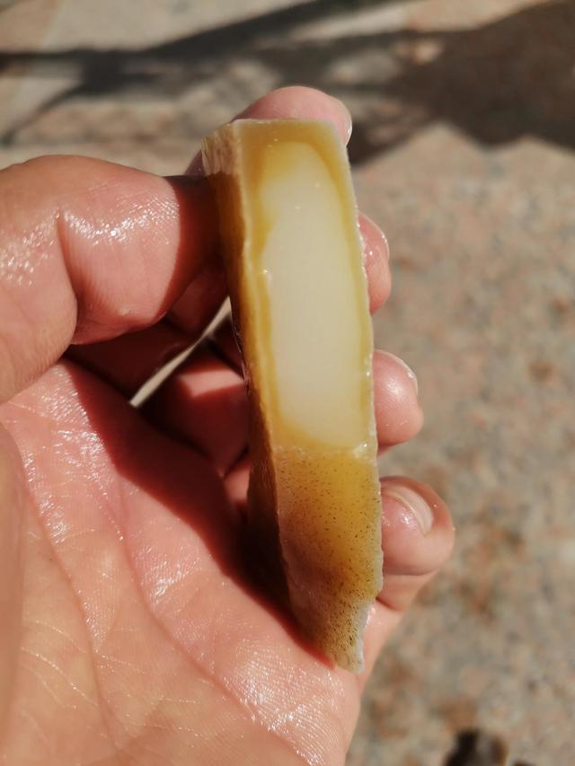 老唐翡翠原石唐之翡翠的缩写-第10张图片-翡翠网 老唐翡翠原石唐之翡翠的缩写-第10张图片-翡翠网