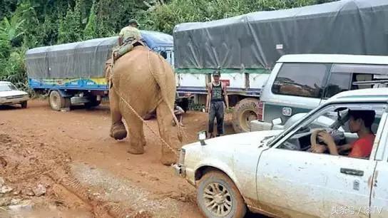 红牛真假翡翠知识,2019红牛真假官方鉴别-第12张图片-翡翠网 红牛真假翡翠知识,2019红牛真假官方鉴别-第12张图片-翡翠网