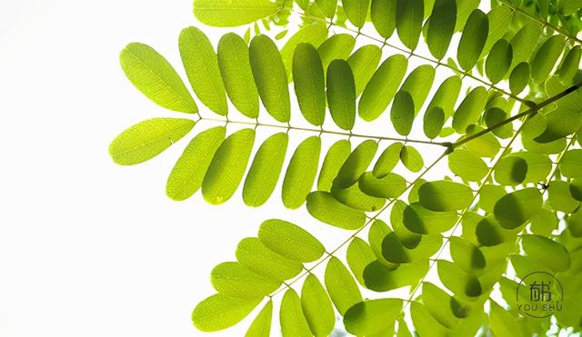 十大名牌珠宝排名周六福,十大名牌珠宝排名-第2张图片-翡翠网 十大名牌珠宝排名周六福,十大名牌珠宝排名-第2张图片-翡翠网