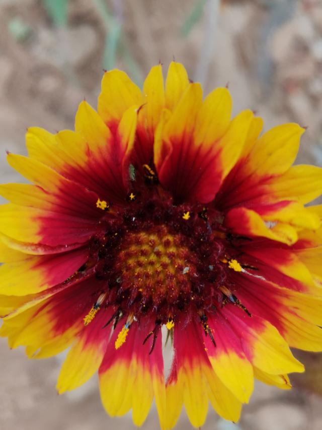 黄金回收英文,黄金回收一般亏多少-第2张图片-翡翠网 黄金回收英文,黄金回收一般亏多少-第2张图片-翡翠网