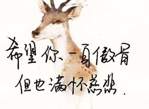 抖音很火的短句20202020抖音火爆句子-第2张图片-翡翠网 抖音很火的短句20202020抖音火爆句子-第2张图片-翡翠网