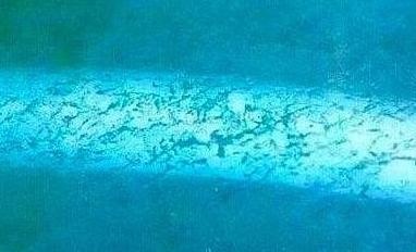 翡翠没开窗怎么看肉质翡翠原石擦窗工具-第4张图片-翡翠网 翡翠没开窗怎么看肉质翡翠原石擦窗工具-第4张图片-翡翠网