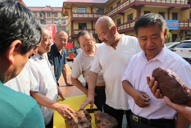翡翠原石批发,淄博正冰翡翠原石批发市场-第27张图片-翡翠网 翡翠原石批发,淄博正冰翡翠原石批发市场-第27张图片-翡翠网