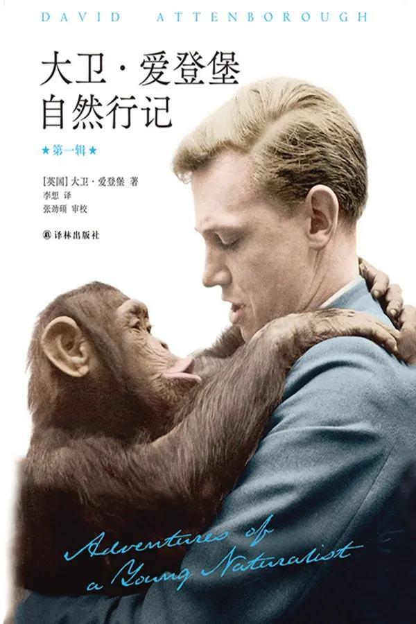 华玉天下珠宝小强翡翠知识竞赛-第4张图片-翡翠网 华玉天下珠宝小强翡翠知识竞赛-第4张图片-翡翠网