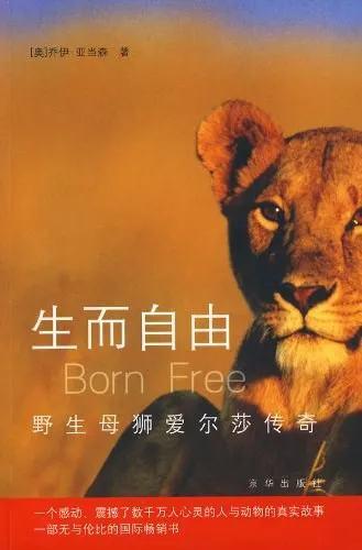 华玉天下珠宝小强翡翠知识竞赛-第6张图片-翡翠网 华玉天下珠宝小强翡翠知识竞赛-第6张图片-翡翠网