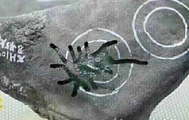 翡翠原石的种类图,黄皮翡翠原石种类图-第5张图片-翡翠网 翡翠原石的种类图,黄皮翡翠原石种类图-第5张图片-翡翠网