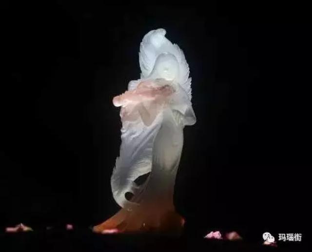 怎么区分玉石和玛瑙玉翡翠玛瑙的原石一样吗-第7张图片-翡翠网 怎么区分玉石和玛瑙玉翡翠玛瑙的原石一样吗-第7张图片-翡翠网